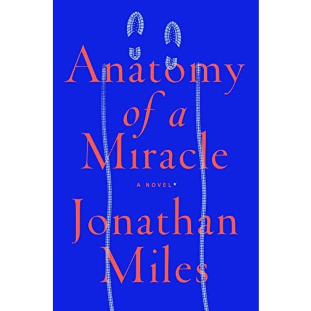 Anatomy of a Miracle: A Novel (Hardcover)